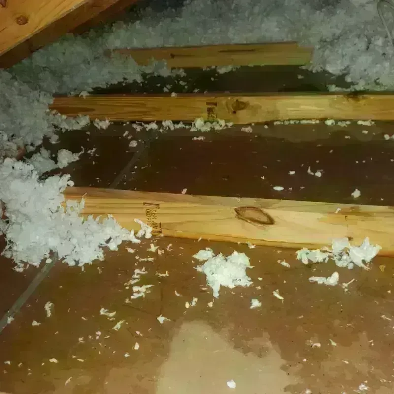 Attic Water Damage in Bow Bog, NH